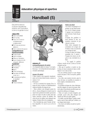 Handball (5)