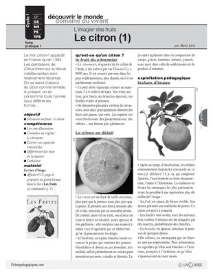 Le citron (1)