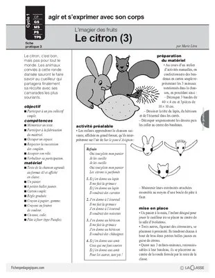 Le citron (3)