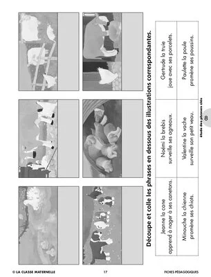 Exploitation pédagogique de l'album Les oeufs de Paulette en maternelle