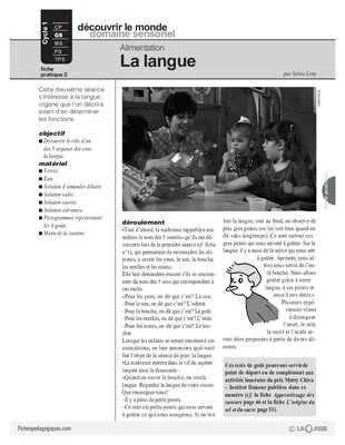 Alimentation - La langue
