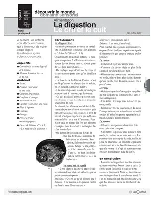 Alimentation : La digestion - Le cru et le cuit