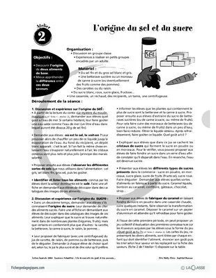 Alimentation : Mise en éveil des papilles