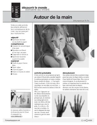 Autour de la main