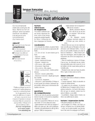 Trafics en Afrique (4) / Une nuit africaine