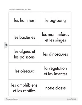 Léa découvre la Terre (2) / Travail sur la chronologie