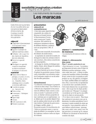 Les instruments de musique : Les maracas