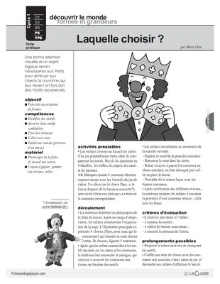 Association de formes : Laquelle choisir ?