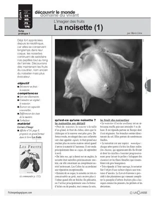 L'imagier des fruits : La noisette (1)