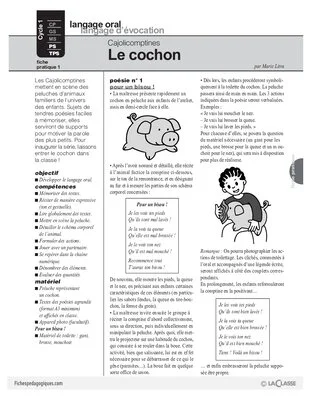 Cajolicomptines (1) / Le cochon
