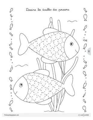 Sirius le petit poisson (1) / Lecture suivie