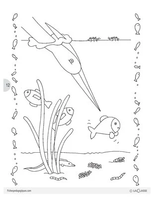 Sirius le petit poisson (2) / Lecture suivie