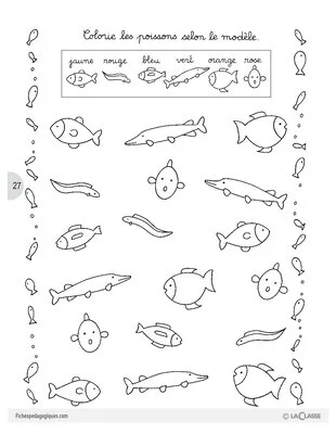Sirius le petit poisson (3) / Lecture suivie