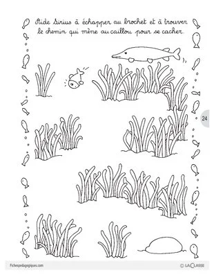 Sirius le petit poisson (3) / Lecture suivie