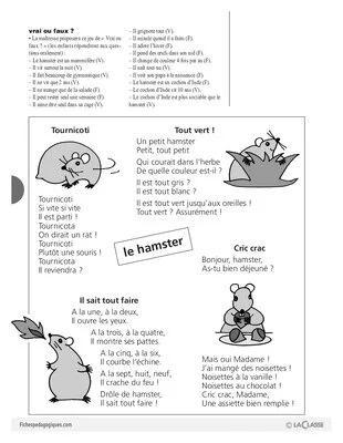 Hamster (2)