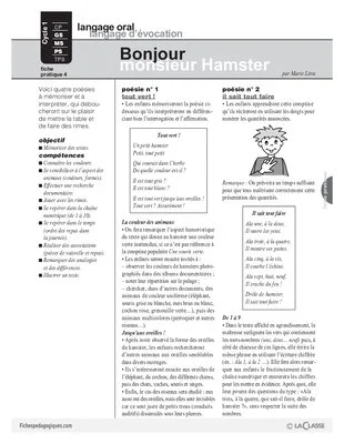 Hamster (4)