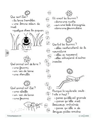 Zoé la petite abeille (4)