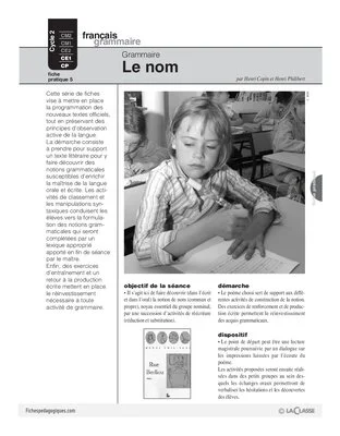 Grammaire (5) / Le nom