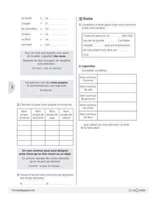 Grammaire (5) / Le nom