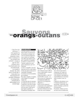 Sauvons les animaux (3) / Les orangs-outans
