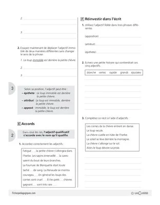 Grammaire (6) / L'adjectif qualificatif (1)