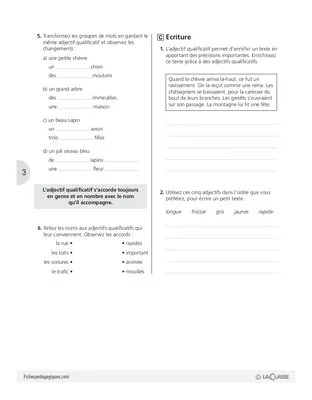 Grammaire (7) / L'adjectif qualificatif (2)
