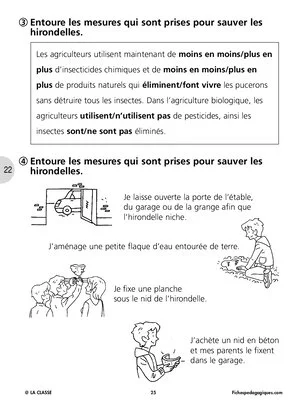 Sauvons les animaux (4) / Les hirondelles